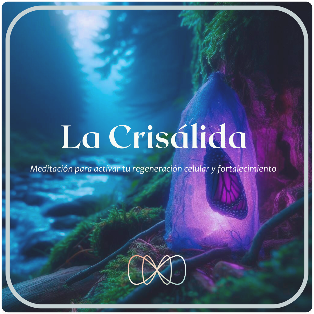 Anima Meditacion Cancer terapia Alternativa Meditaciones (4)