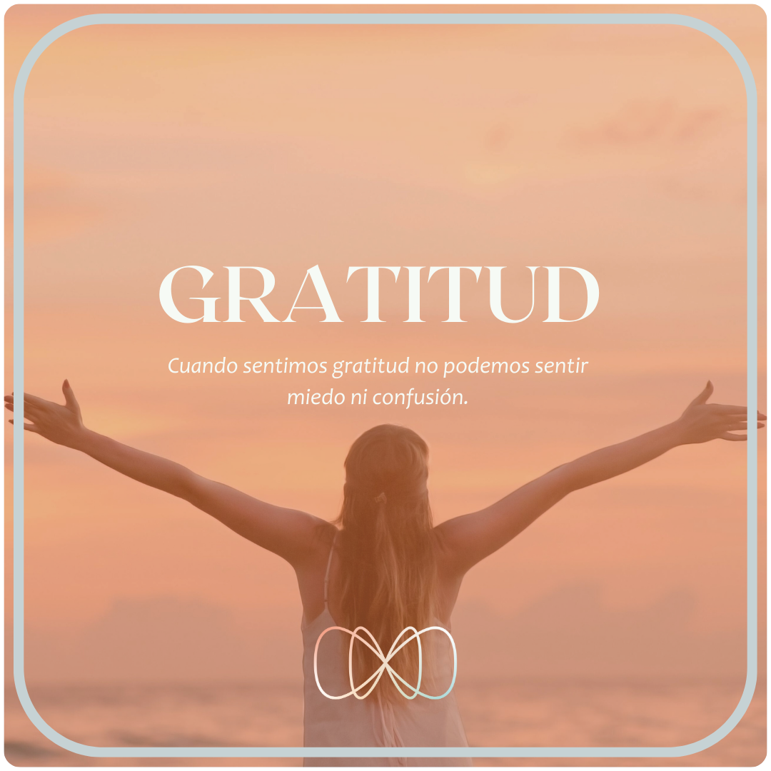 Gratitud Gratitud